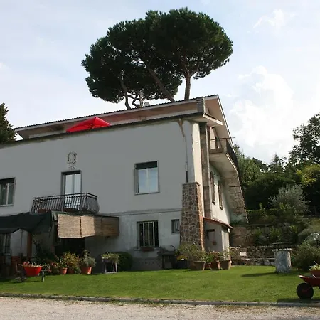 Bed & Breakfast Patrian